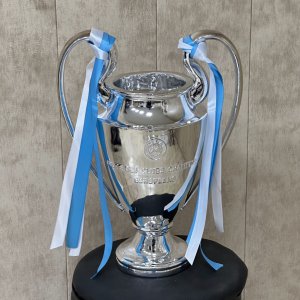 کاپ چمپیونزلیگ 16 سانتی متر