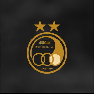 قاب موبایل استقلال