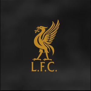 قاب موبایل لیورپول