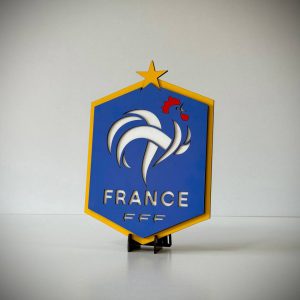 استند لوگوی فرانسه