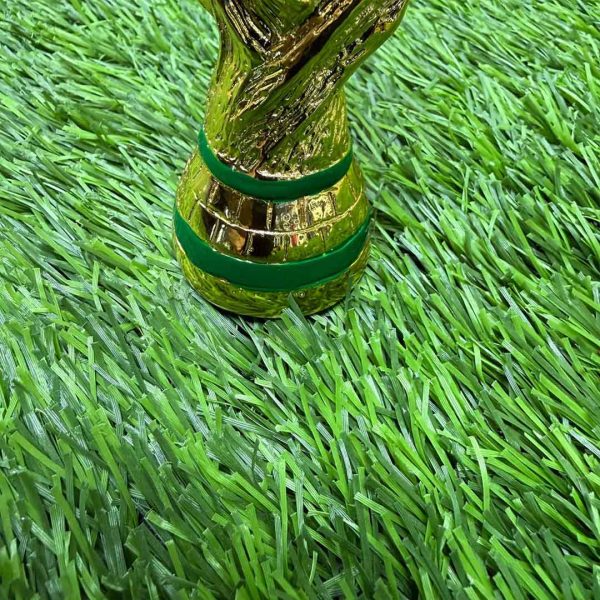 کاپ جام جهانی 21 سانتی متر